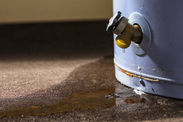 Best Residential water damage restoration  in Oriole Beach, FL