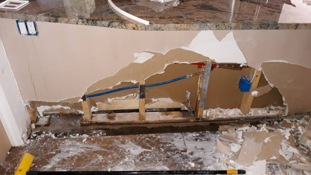 Best Water damage restoration company  in Oriole Beach, FL