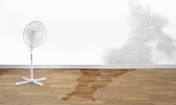 Best 24/7 water damage repair  in Oriole Beach, FL
