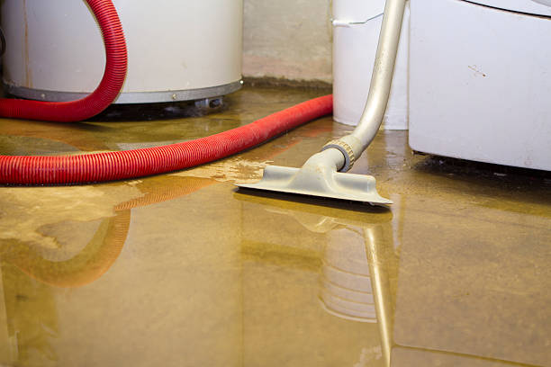 Best Water damage cleanup near me  in Oriole Beach, FL