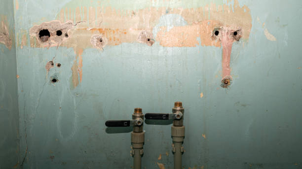 Best Water damage restoration cost  in Oriole Beach, FL