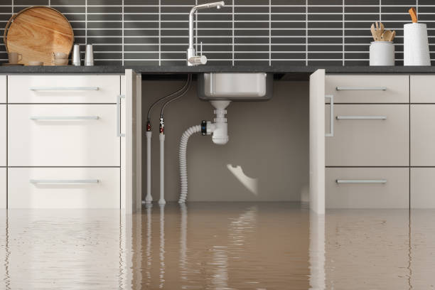 Best Flood damage cleanup  in Oriole Beach, FL